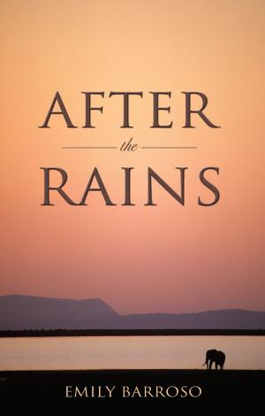 Cover of the book After the Rains by Laurie McTaggart