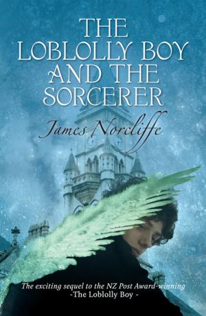 Cover of The Loblolly Boy and the Sorcerer