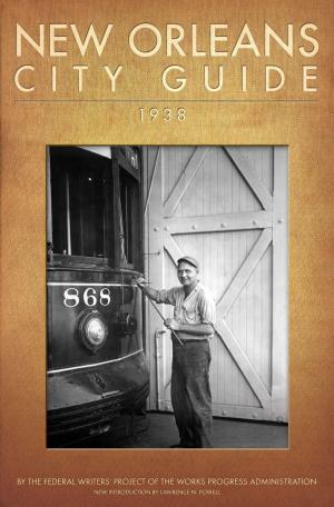 Cover of the book New Orleans City Guide by Gera-Lind Kolarik, Wayne Klatt