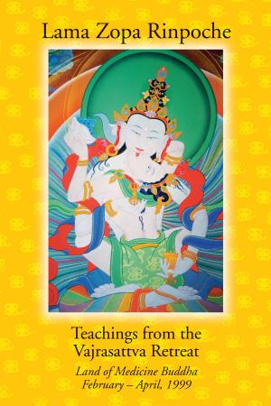 Book cover of Teachings from the Vajrasattva Retreat: Land of Medicine Buddha, February-April, 1999