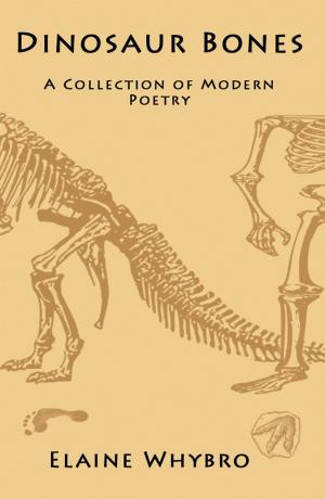 Cover of the book Dinosaur Bones by Moira McPartlin