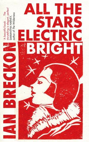 Cover of the book All the Stars Electric Bright by Chris England