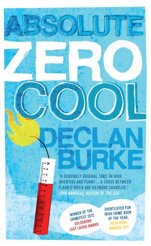Cover of the book Absolute Zero Cool by Declan Burke
