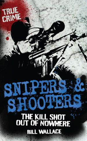 Cover of the book Snipers and Shooters by John Pemberton