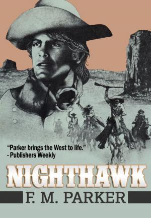 Cover of the book Nighthawk: by Eric De Witt