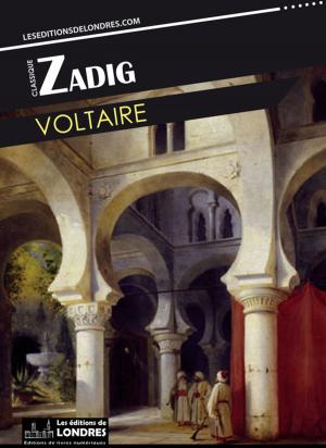 Cover of the book Zadig by Cyrano De Bergerac
