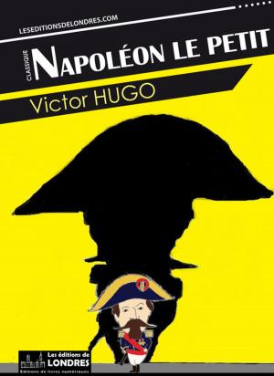 Cover of the book Napoléon le petit by Aurélie Gandour