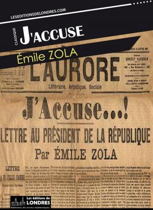 Cover of the book J'accuse by Georges Darien