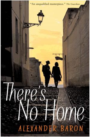 Cover of There's No Home