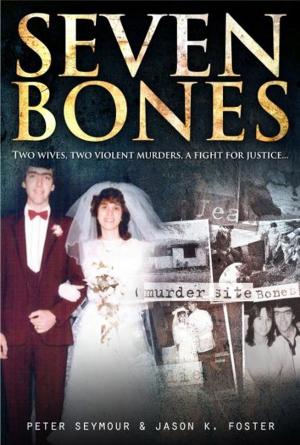 Cover of the book Seven Bones by Paul Jordan