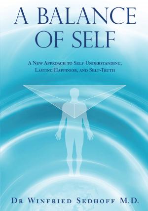 Cover of the book A Balance of Self by Darren Woolley