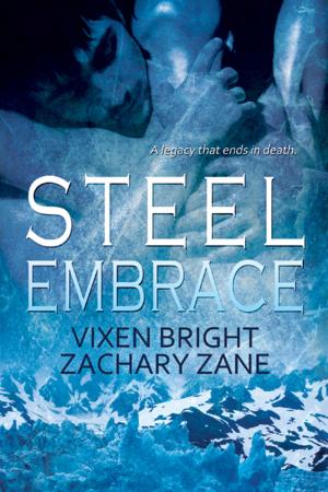 Cover of the book Steel Embrace by Julie Eberhart Painter