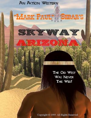 Book cover of Skyway Arizona