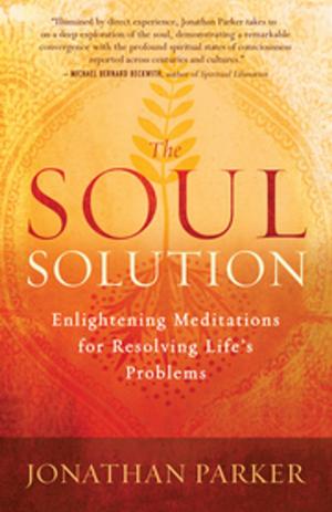 Cover of the book The Soul Solution by Wayne Teasdale