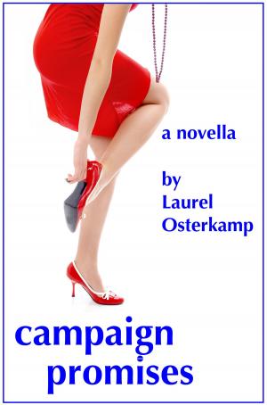 Cover of the book Campaign Promises by Maggie C. Brynnon