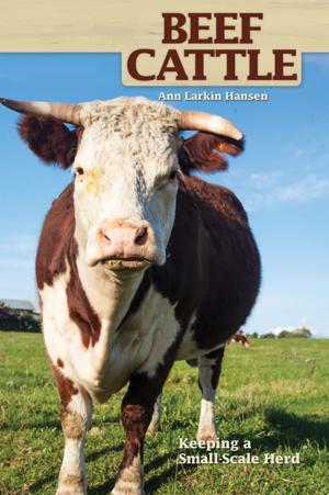 Cover of the book Beef Cattle by Linda Hibbard