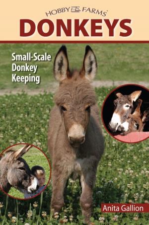 Cover of the book Donkeys by Charlotte Schwartz