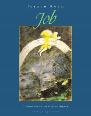 Cover of the book Job by Breyten Breytenbach
