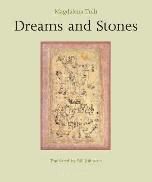 Cover of the book Dreams and Stones by José Braz Pereira da Cruz