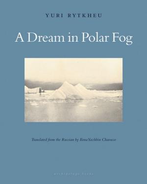 Cover of the book A Dream in Polar Fog by Breyten Breytenbach