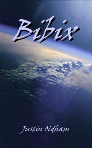 Book cover of Bibix