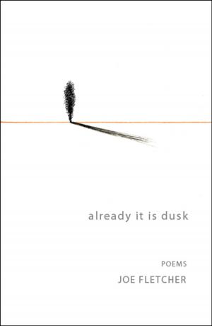 bigCover of the book Already It Is Dusk by 