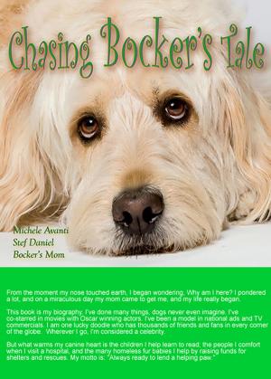 Cover of the book Chasing Bocker's Tale by Donna Riley