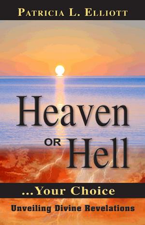 Cover of the book Heaven or Hell by Vidya Frazier