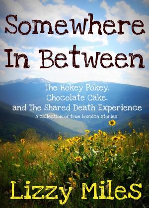 Cover of the book Somewhere In Between: The Hokey Pokey, Chocolate Cake and The Shared Death Experience by Baron Carrie-Ann, Frederickson JJ