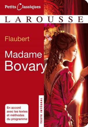 Cover of the book Madame Bovary by Eschyle