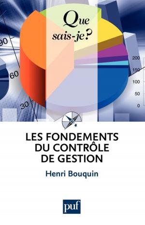 bigCover of the book Les fondements du contrôle de gestion by 