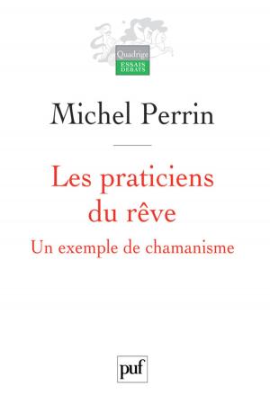 Cover of the book Les praticiens du rêve by Michaël Foessel