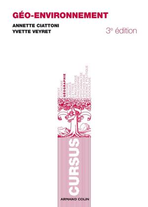 Cover of the book Géo-environnement by Laurent Jullier, Julien Péquignot