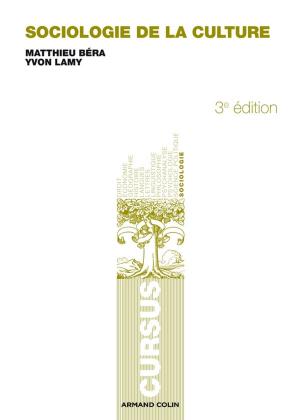 Cover of the book Sociologie de la culture by Daniel Noin