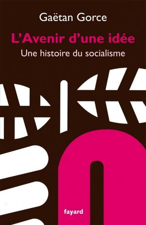 Cover of the book L'avenir d'une idée by Jacques Attali