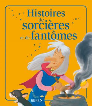 Book cover of Histoires de sorcières et de fantômes