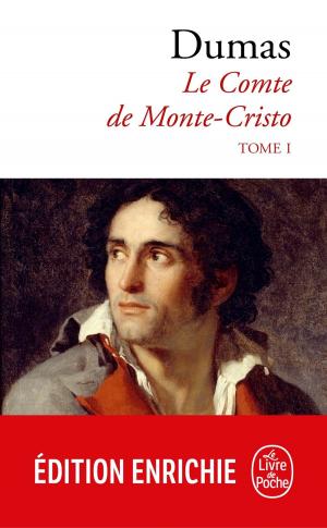 Cover of Le Comte de Monte-Cristo tome 1