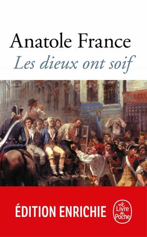 Cover of the book Les Dieux ont soif by Chrétien de Troyes