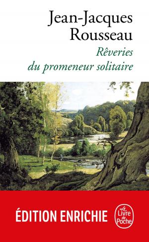 Cover of the book Les Rêveries du promeneur solitaire by Serge Brussolo