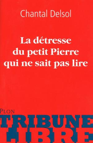 Cover of the book La détresse de petit Pierre qui ne sait pas lire by Jean ANGLADE