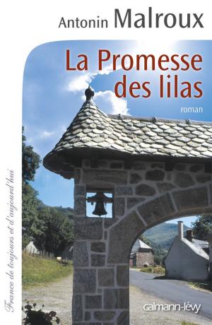 Cover of the book La Promesse des Lilas by Yann Queffélec