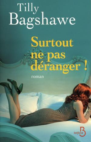 Cover of the book Surtout ne pas déranger ! by Françoise BOURDON