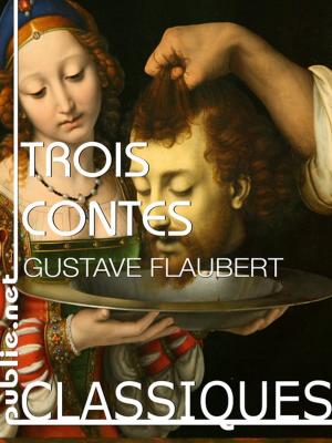 Cover of the book Trois contes by Nicolas Ancion