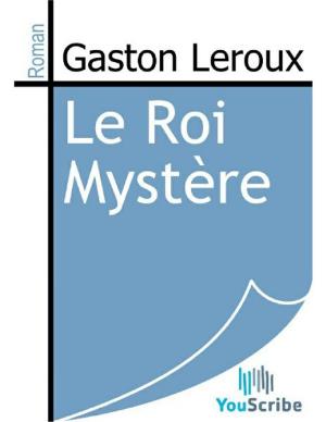 Book cover of Le Roi Mystère
