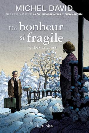 Cover of the book Un bonheur si fragile T4 - Les amours by Sandra Sirois