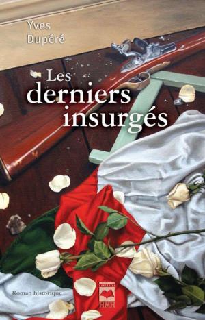 Cover of the book Les derniers insurgés by Cindy Caldwell