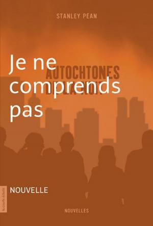 Cover of the book Je ne comprends pas by Stanley Péan