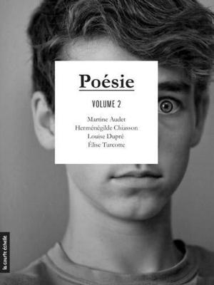 Cover of the book Poésie, volume 2 by Sylvie Desrosiers