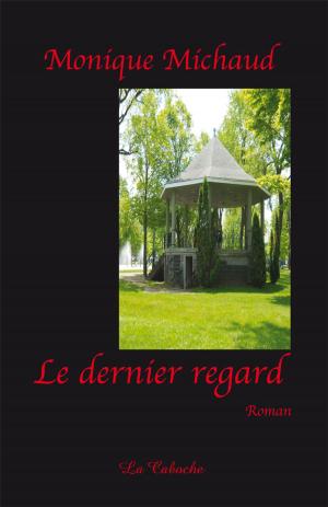 Cover of the book Le dernier regard by Dominique Girard