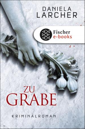 Cover of the book Zu Grabe by Thomas von Steinaecker